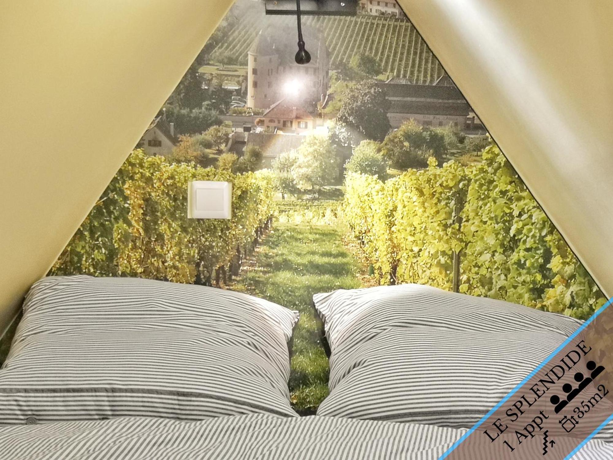 Splendide Appartement Barr - Route Du Vins Номер фото